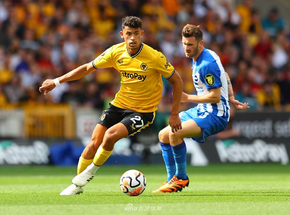 我可以帮你 我可以帮你